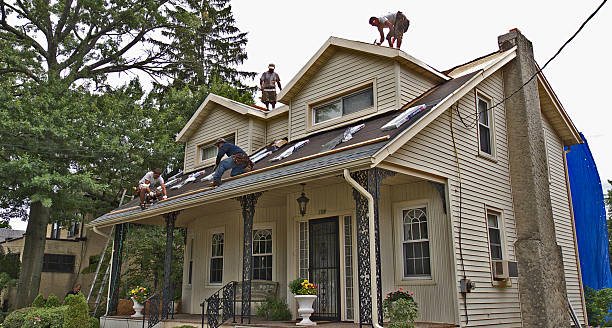 Best Roof Maintenance Services  in Brookville, OH
