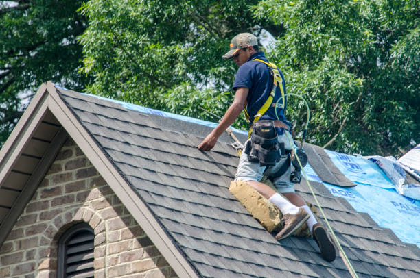 Best Gutter Installation and Roofing  in Brookville, OH